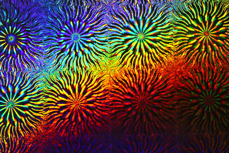 rainbow, ecosystem, iridescent, water, nature, animal wildlife, full frame, animal themes, photo paper, 5K, hologram, coral, sea life, marine, undersea