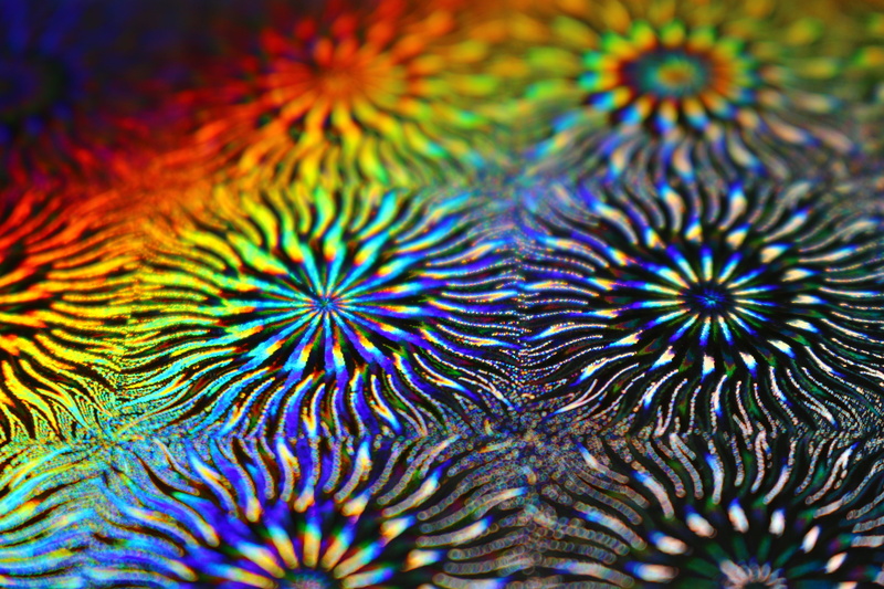 design, hologram, peacock feather, Construction Paper, paper, photo paper, selective focus, close-up, water, no people, abstract, backgrounds, full frame