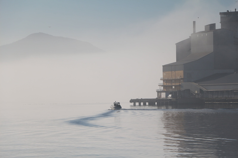 stavanger, landscape, blue, in the spring of, fog, smoke, summer, towards the light, waterfront, outdoors, no people, water, morning, industry, reflection