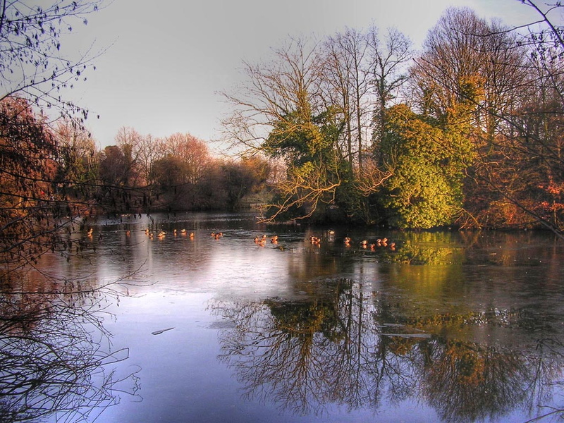Winter, 480P, feels, autumn, feel, art, like, nature, hd, lakes, still