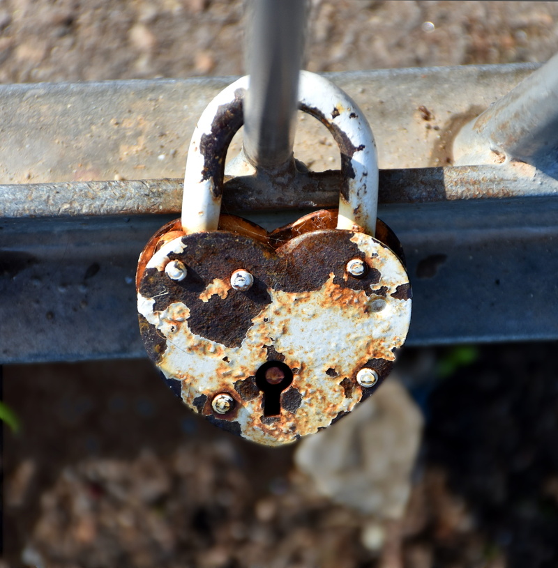 transient, selective focus, heart shape, focus on foreground, day, feelings, love symbol, close-up, affection, Heart, Loyalty, chain, safety, greeting
