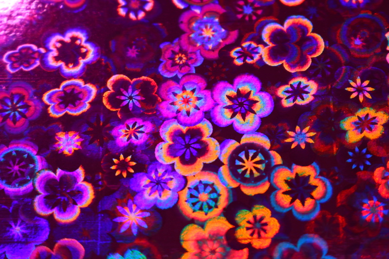 vulnerability, plant, photo paper, 5K, multi colored, hologram, beauty in nature, construction, fragility, neat, blue, backgrounds, biology, pattern, full frame