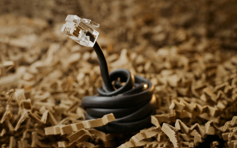 no people, Others, plant, close-up, kitchen utensil, black, beginnings, selective focus, still life, luxury, wealth, ethernet, food and drink, wood grain