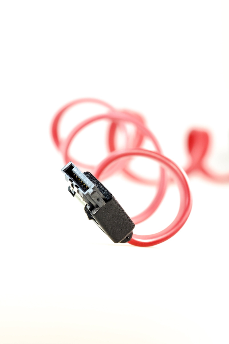 internet, equipment, red, single object, global communications, line, plug, s-ata, macro, studio shot, no people, hardware, white background, computer cable