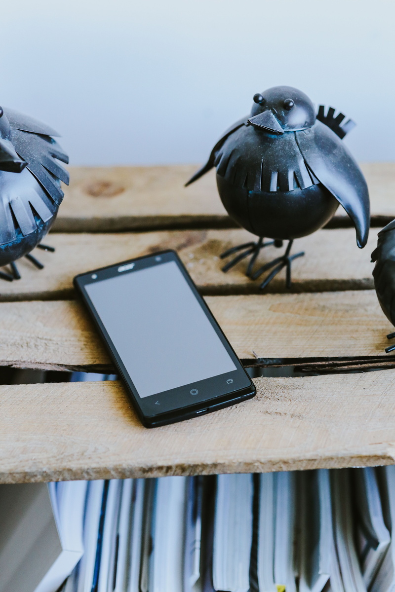 plastic, animal, bird, close-up, wireless technology, toy, 5K, smart phone, portability, connection, Little black, black, birds, table, screen, equipment
