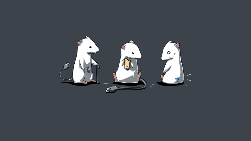 mice, funny, animals, usb, entertainment, hd, x, cord, white, 720P, cheese, rats, simplistic, art