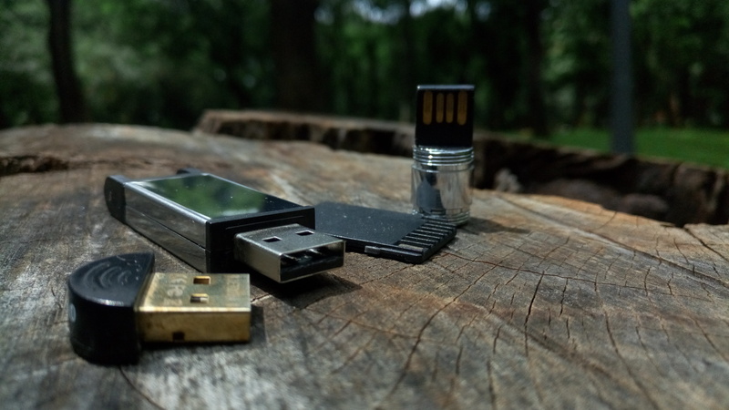 forest, wood, 5K, high angle view, nature, arts culture and entertainment, technology, day, outdoors, no people, woodland, food and drink, close-up, usb