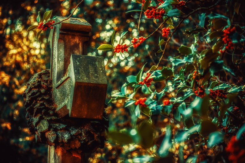 4K, celebration, close-up, mental, crucifixion, jesus, decoration, pray, wood - material, god, plant, focus on foreground, cross, tree, holiday, resurrection