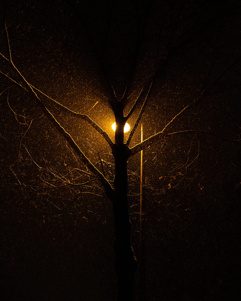 lantern, street, tree, light, electricity, dark, wheel, machine, 4K, illuminated, lace, flare, nature, rain, no people, lighting, technology, sky, silhouette