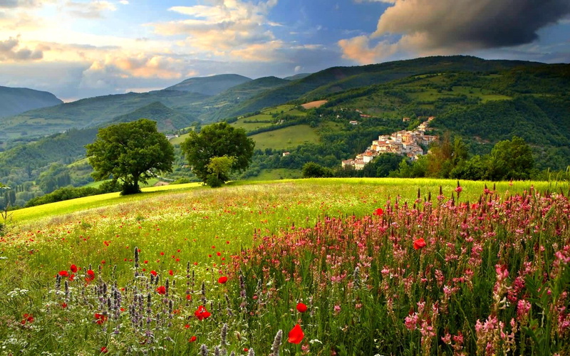 refreshing, scenery, field, mountain, clouds, 1080P, blossoms, houses, trees, 3d and abstract