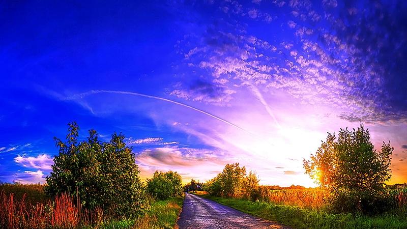 3d and abstract, amazing, light, brightness, refresh, road, blue, tree, clear, clouds, 1080P