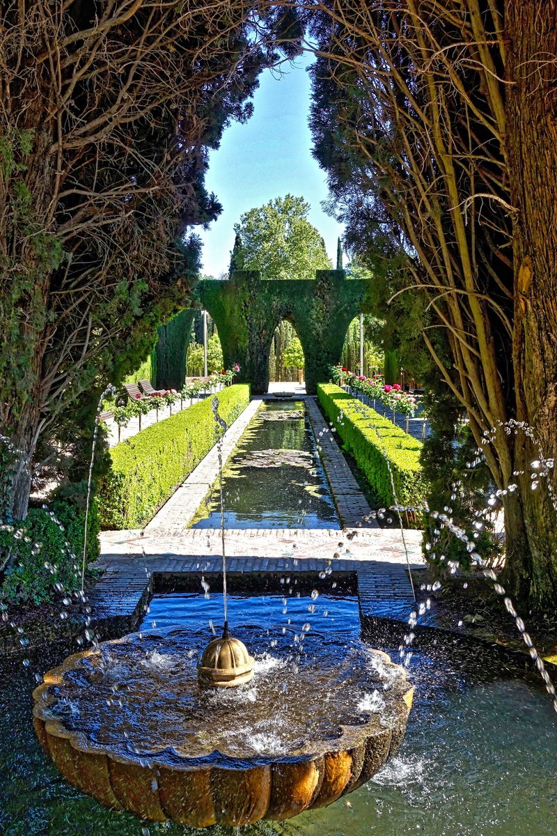 tree, garden, plant, fountain, formal garden, built structure, direction, hedge, diminishing perspective, architecture, outdoors, park - man made space