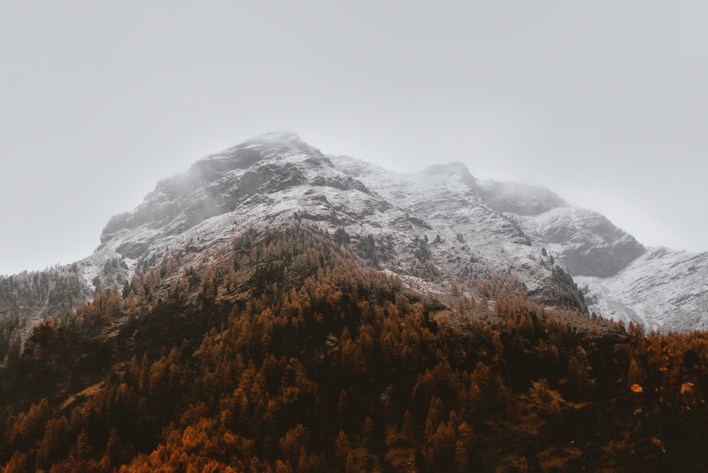 plant, mountain range, scenics - nature, environment, coniferous tree, winter, 5K, clouds, tranquil scene, snowcapped mountain, day, beauty in nature