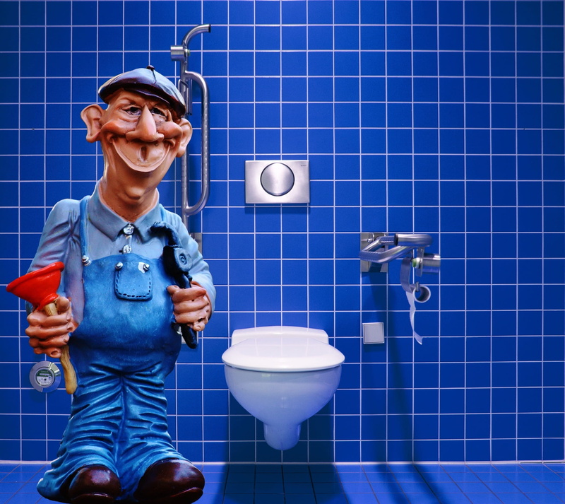 indoors, 1080P, home, tool, animated, pömpel, toilet, art, looking at camera, bowl, loo, fun, figure, repair, constipation, work, sanitary, domestic room