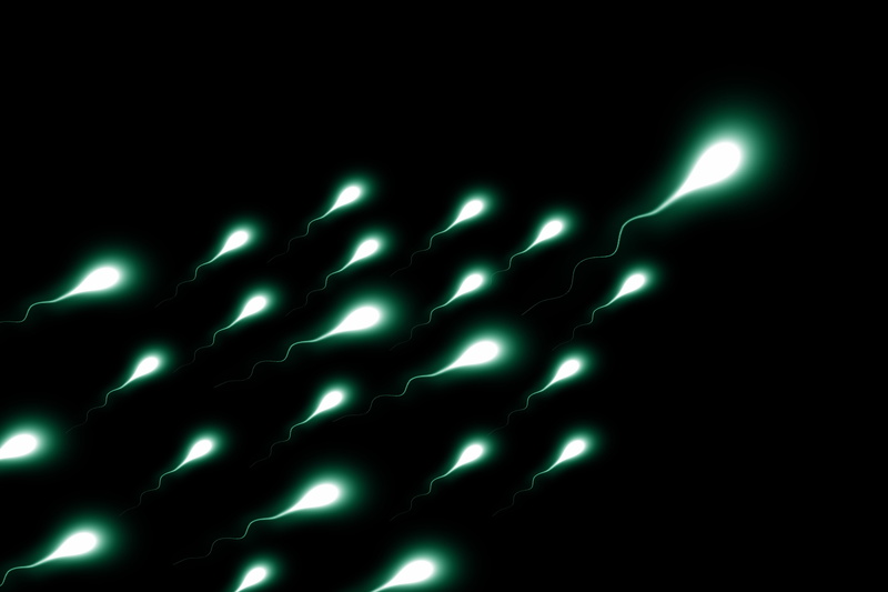 seeds, First, Cum, background, champion, sperms, studio shot, Sperm, egg, indoors, competition, light - natural phenomenon, 5K, abstract, green color