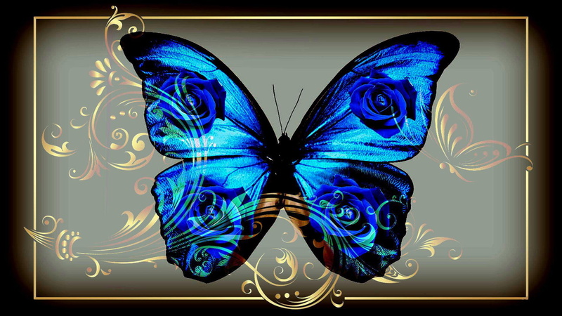 blue, 1080P, beautiful, jewel, rose, jewelry, butterfly, flower, animals, photoshop