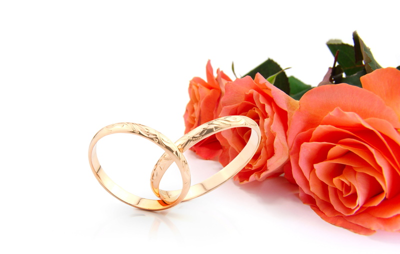 engagement rings, still life, two, passion, love, nature, rings, close-up, symbol, 5K, decoration, anniversary, plant, inflorescence, flower Head, yellow
