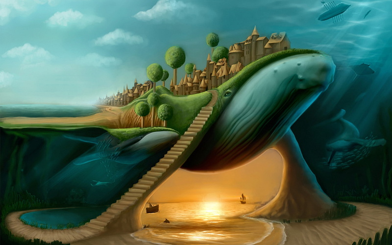 1080P, Bay, the stairs, sperm whale, the city, kit