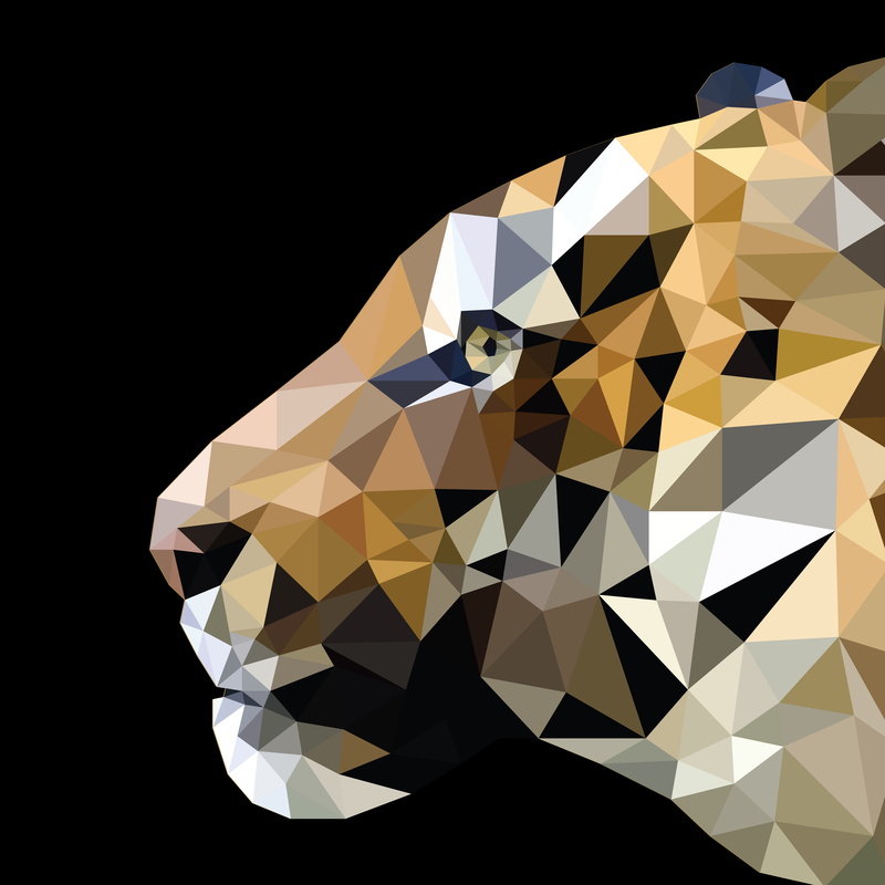 luxury, studio shot, geometric shape, black background, precious gem, illuminated, jewelry, 8K, copy space, diamond shaped, pattern, crystal, low poly