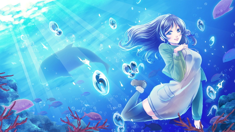 Nagi no Asukara, aquarium, animals in the wild, nature, swimming, school of fish, large group of animals, animals in captivity, women, animal wildlife