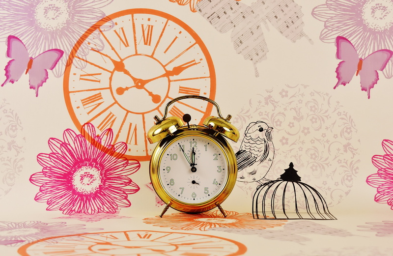 hour hand, pocket watch, minute hand, home interior, clock face, disaster, alarm, dial, roman numeral, the eleventh hour, floral pattern, no people, 4K
