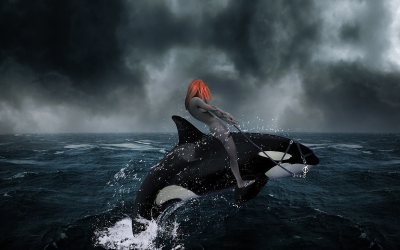ocean, drive, 1080P, photo, riding, water, killer, dark, whale, fantasy, person, picture