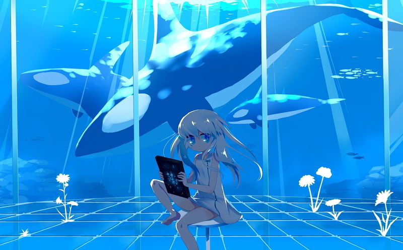 whales, 1080P, nature, anime, girls, orca, water, killer