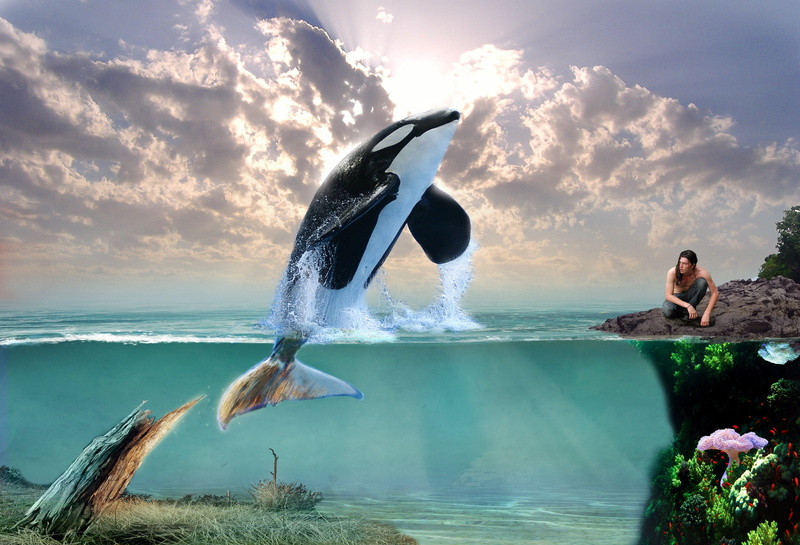 creative, 3d, art, Whale, fantasy, ocean, Dolphin, 2K, Orca
