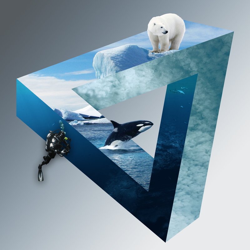 illusion, creativity, threat, protection, divers, escher, nature, research, puzzles, human representation, vertebrate, representation, science, paper, adventure