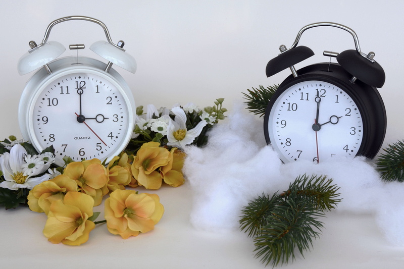 number, follwers, 4K, clocks, two, countdown, checking the time, celebration, dial, alarm, nostalgia, no people, bouquet, plant, white color, pay, large group of objects