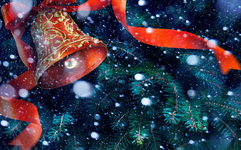 snow, winter, holiday, no people, red, ribbon, bell, sea, celebration, water, animal, nature, Christmas, animal themes, New Year, cold temperature, tree