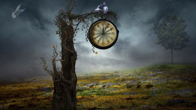 no people, instrument, green color, environment, fantasy, tree trunk, alarm, instrument of time, forest, nature, outdoors, watch, analog clock, minute