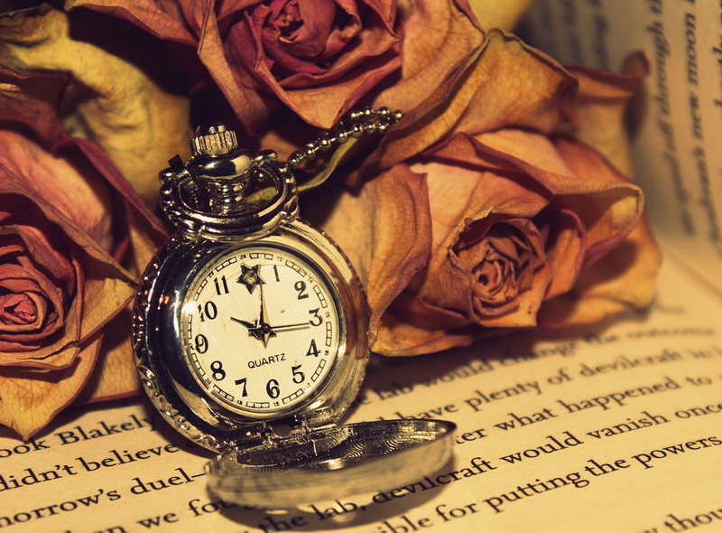 communication, pocket, antique, document, time, clock, gold Colored, retro Styled, text, colored, wristwatch, table, concepts, rose, still life, pocket Watch