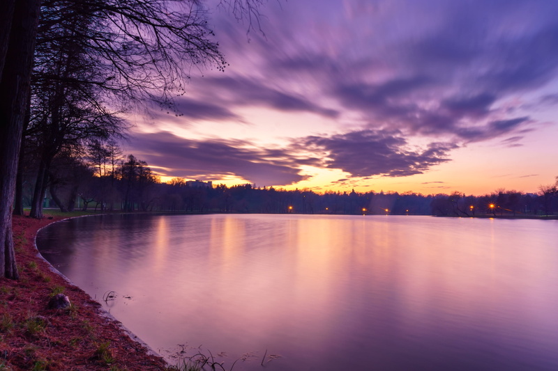 nex, dusk, bucharest, bucuresti, nature, clouds, LE, scenics, lac, photo, sunset, tree, sorin, sky, tineretului  park, romania, landscape, sony  a6000