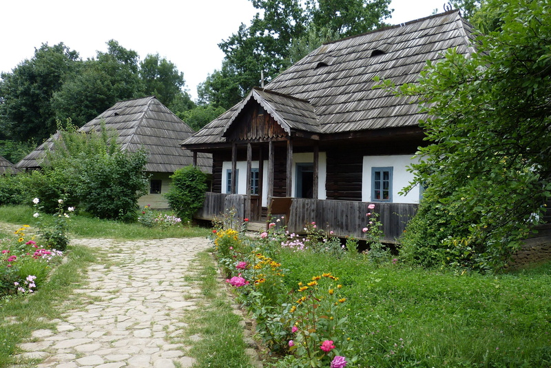 village, home, flowering plant, Bucharest, footpath, built structure, no people, cottage, nature, Romania, residential district, building exterior, architecture