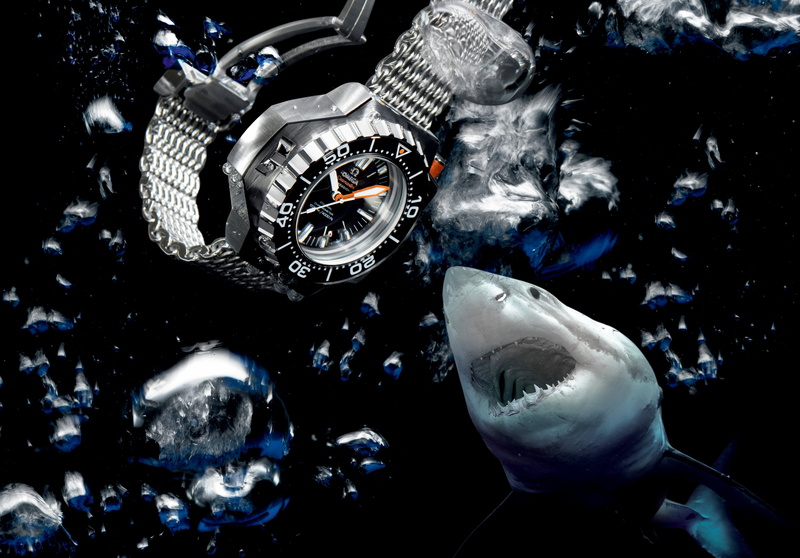 Watch, swimming, time, nature, animals in the wild, marine, analog, water, no people, luxury, underwater, sea, animal themes, vertebrate, high angle view