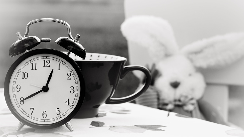 bunny, black-and-white, clock, reminder, clock face, cup, seconds, hours, alarm, still life, quartz, stuffed toy, alarm clock, mug, number, retro styled