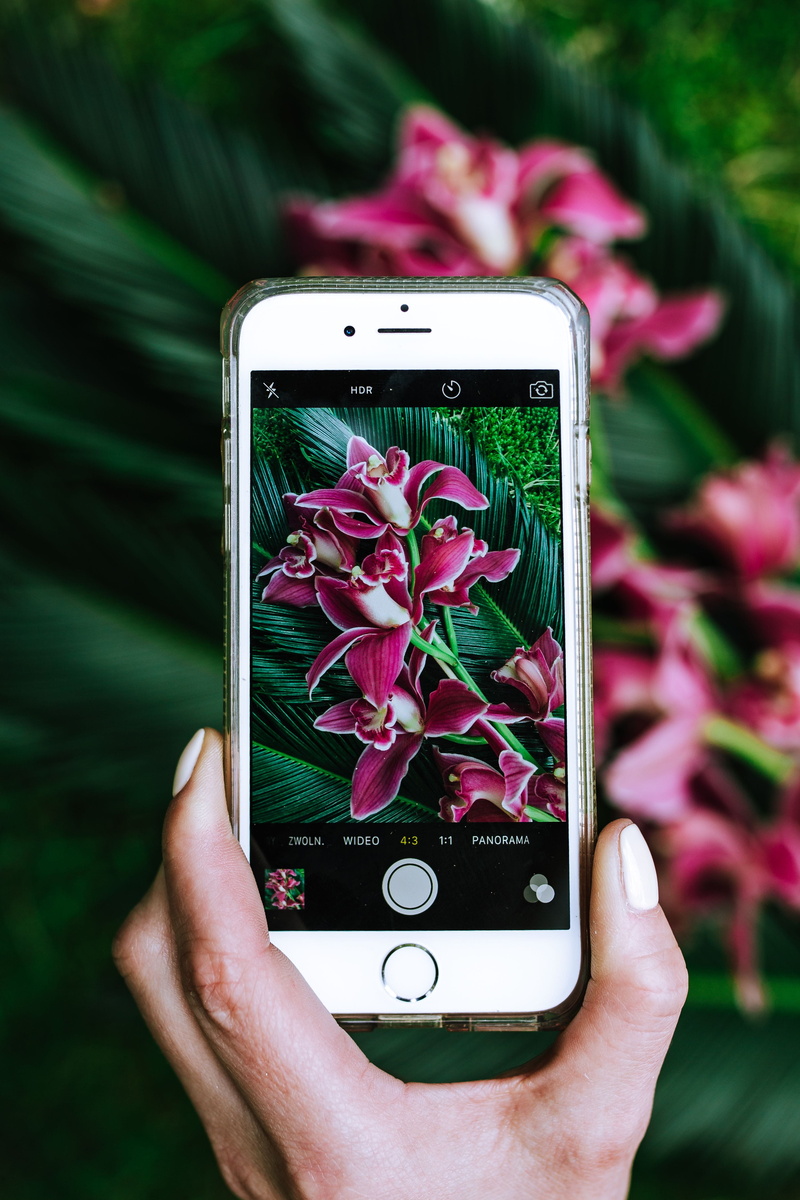 Exotic, leaves, plant, flora, tropical, flowering plant, photography themes, connection, technology, one person, nature, Greenery, apple Computers, application Software