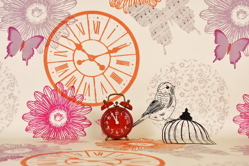 flower, animal representation, red, time, design, ring the bell, the eleventh hour, plant, no people, near, creativity, flowering plant, time indicating