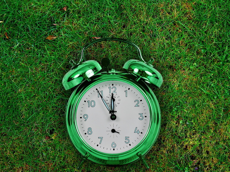 day, time of, time, clock, minute hand, no people, ring the bell, growth, instrument of time, plant, time for a change, alarm clock, time to rethink, green color