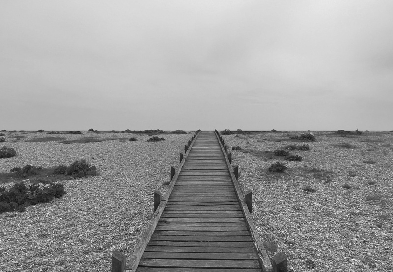 land, stones, nature, landscape, united kingdom, tranquility, scenics - nature, wood - material, england, direction, sea, horizon over land, dungeness