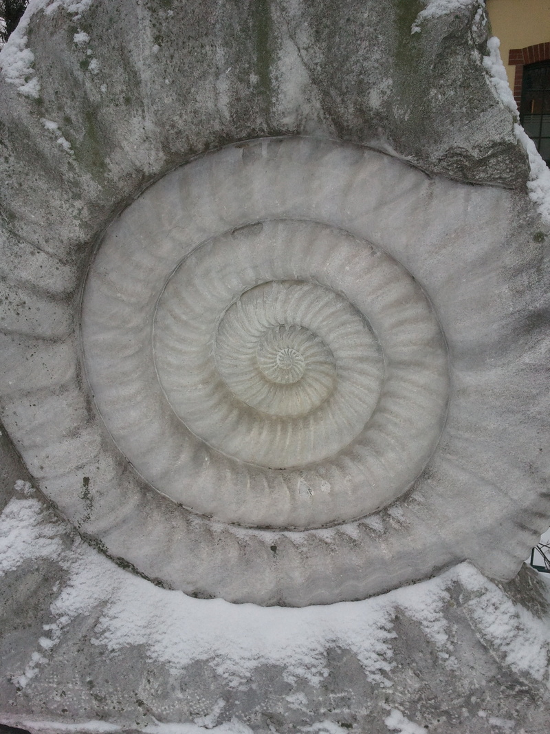 steps and staircases, prehistoric, directly above, stone, spiral staircase, day, built structure, nature, museum, no people, 2K, pattern, solid, swirl