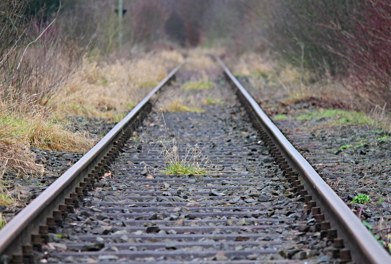parallel, lonely, direction, day, seemed, plant, gleise, selective focus, focus, gravel, track bed, no people, transport, railroad ties, railway, outdoors