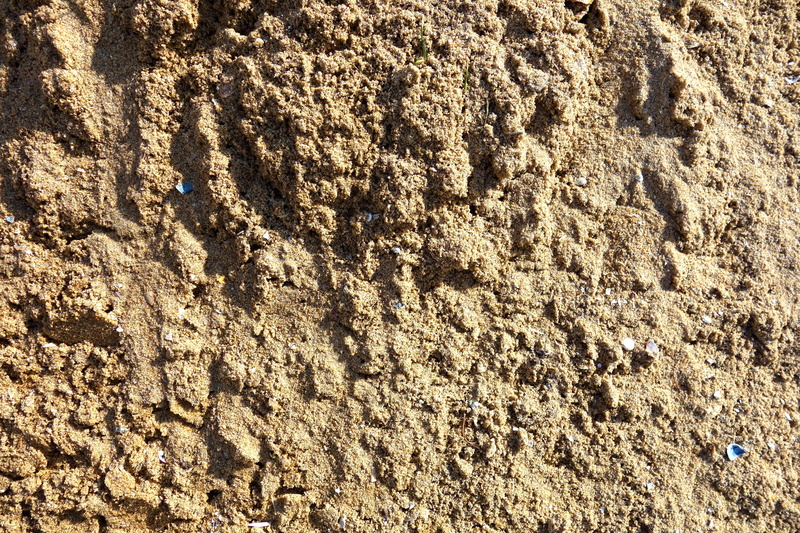 full frame, particles, tranquility, high angle view, light brown, dirt, beach, day, mud, grain, backgrounds, granular, beige, land, sand grain, close-up