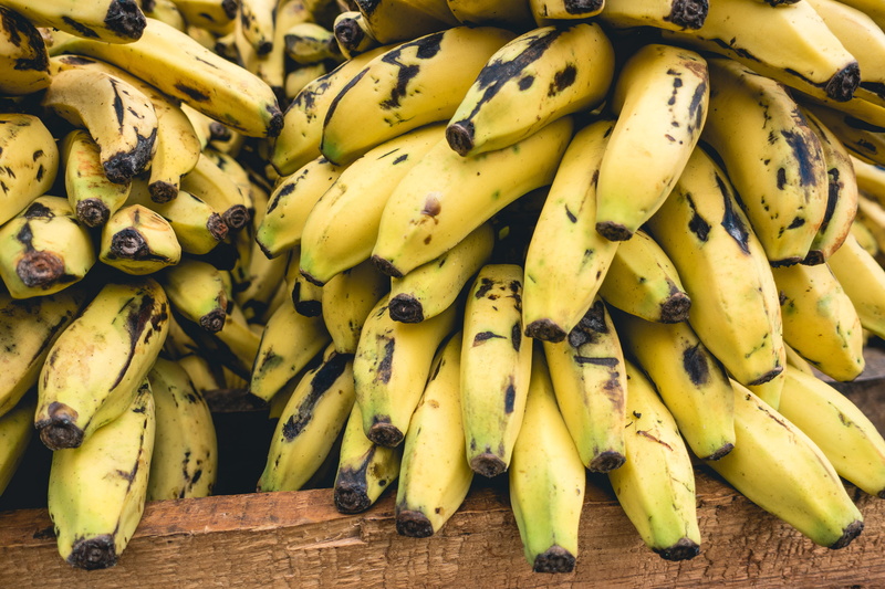 bananas, retail, large group of objects, food and drink, wellbeing, food, nature, close up, abundance, close, Cuban, organic, still life, healthy Eating
