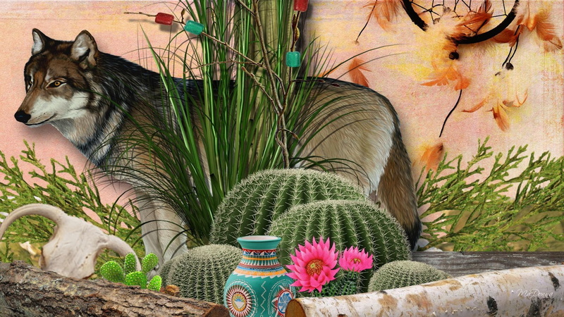 desert, cactus, 1080P, dream catcher, wood, native american, wolf, native, flowers, animals, firefox persona