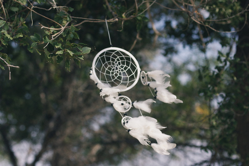 dove, white, low angle view, focus on foreground, art and craft, droplet, pigeon, catcher, environment, animal, bird feeder, nature, wind, decoration, hoop