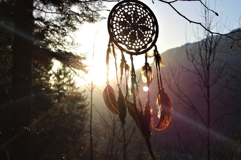 branch, tree, sky, grass, low angle view, dream catcher, spring, forest path, nature, leisure, fir tree, trail, mountain, green, sunbeam, day, hiking, religion