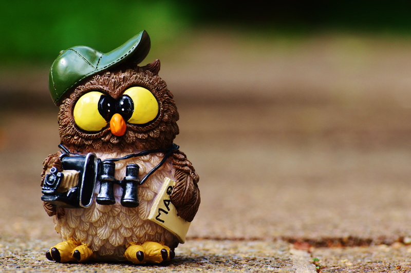 animal, focus on foreground, nature, small, still life, no people, close-up, cap, creativity, owl, wearing, yellow, bird, craft, multi Colored, representation