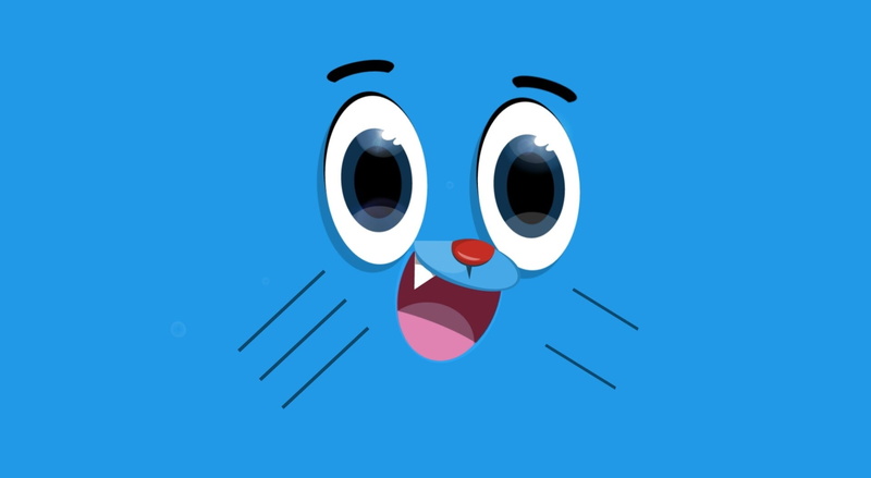 indoors, cat, nature, gumball, reflection, geometric shape, arts culture and entertainment, blue, 1080P, Others, pink color, still life, studio shot, face